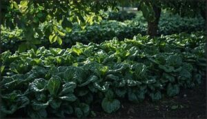 spinach and kale performance spinach and kale performance