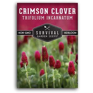 Survival Garden Seeds Crimson Clover B09BPV37KT
