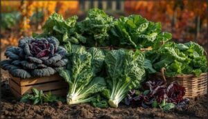 top leafy greens for fall gardens top leafy greens for fall gardens