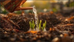 watering and mulching after planting watering and mulching after planting