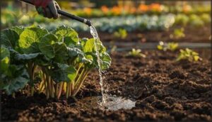 watering at the plant base