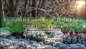 what flowers bloom in winter what flowers bloom in winter