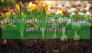 when to plant fall bulbs when to plant fall bulbs