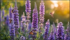 anise hyssop (agastache foeniculum) anise hyssop (agastache foeniculum)