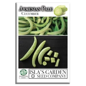 Armenian Pale Green Cucumber Seeds B08XDRZ6FH
