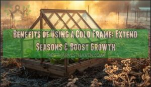 benefits of using a cold frame benefits of using a cold frame