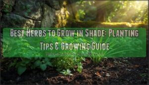 best herbs to grow in shade