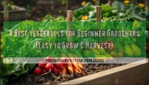 best vegetables for beginner gardeners best vegetables for beginner gardeners