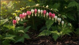 bleeding heart – unique shaped flowers bleeding heart – unique shaped flowers