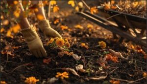 cleaning up annuals and spent plants cleaning up annuals and spent plants