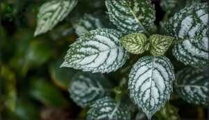 common visual symptoms common visual symptoms