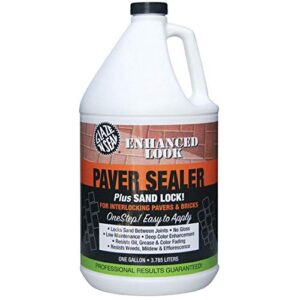 Glaze 'N Seal Color Enhancer B08WH8CWDM