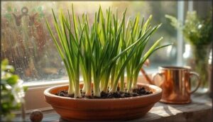 green onions green onions