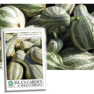 Green Striped Cushaw Pumpkin Seeds, B08XC7XCM5