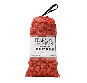 In Shell Georgia Pecans 5 lb B07KMH462B