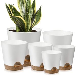 Indoor Self Watering Planters with B0BN7LJR6D