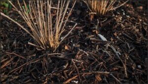 insulating roots with mulch insulating roots with mulch