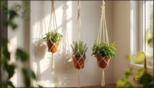 macrame plant hangers for herbs macrame plant hangers for herbs