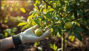 managing pests, diseases, and long-term health managing pests, diseases, and long-term health