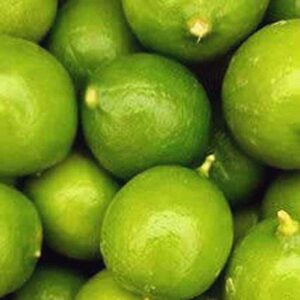 Melissa's Fresh Key Limes, (5 B0000EIEQU