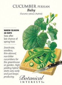 Persian Baby Cucumber 8 B00EOYKV8E