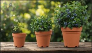 recommended pot sizes and depths recommended pot sizes and depths