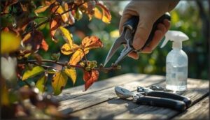 removing dead, diseased, or damaged growth removing dead, diseased, or damaged growth