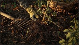 removing debris and spent plants removing debris and spent plants