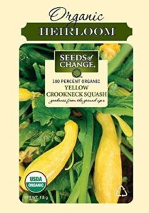 Seeds of Change S10672 Certified B001EWCNGM