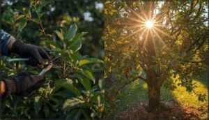 shaping for optimal light and airflow shaping for optimal light and airflow