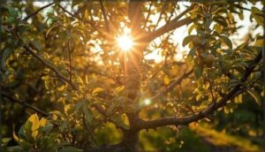 shaping for sunlight and airflow shaping for sunlight and airflow