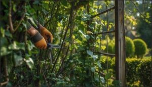 shaping shrubs, trees, and vines shaping shrubs, trees, and vines