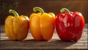 skin texture and gloss skin texture and gloss