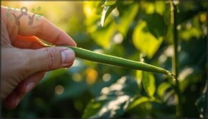 snap test for tenderness snap test for tenderness