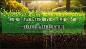 spring lawn care advice spring lawn care advice