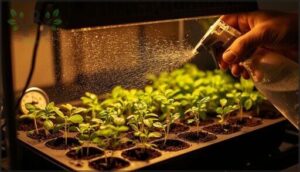 watering and light requirements for germination watering and light requirements for germination
