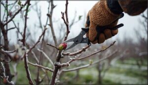 when to prune apple trees for best results when to prune apple trees for best results