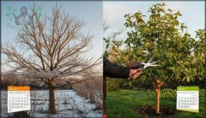 when to prune fruit trees when to prune fruit trees