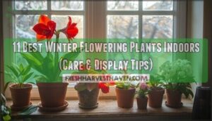 winter flowering plants indoors winter flowering plants indoors