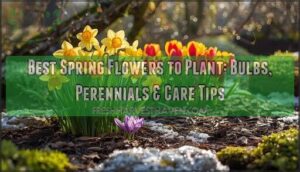 best spring flowers to plant