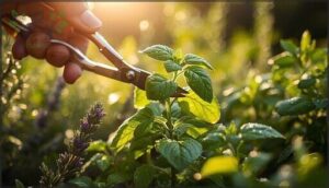 best times and methods for harvesting best times and methods for harvesting