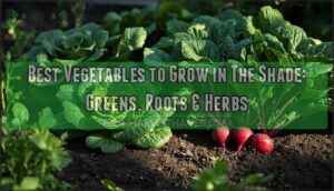best vegetables to grow in the shade best vegetables to grow in the shade