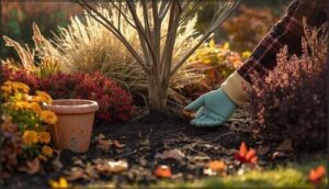 caring for newly planted fall perennials caring for newly planted fall perennials