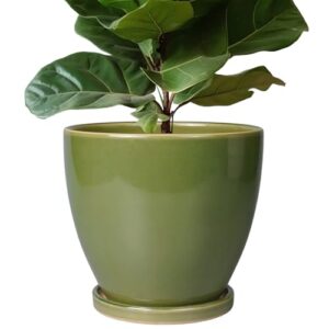 Ceramic Pots for Plants B0DNB1Q26J