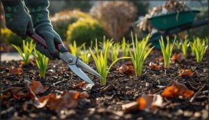 clearing debris and dead growth clearing debris and dead growth