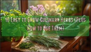 easy to grow culinary herbs easy to grow culinary herbs