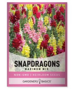 Gardeners Basics, Snapdragon Seeds for B09L91HD2Y
