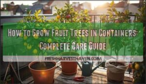 growing fruit trees in containers growing fruit trees in containers