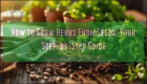 growing herbs from seeds growing herbs from seeds