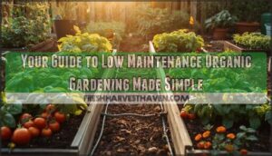low maintenance organic gardening low maintenance organic gardening